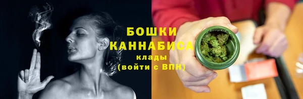 сатива Елизово