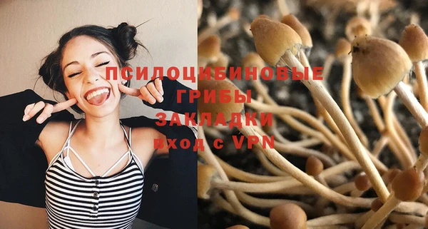 дмт Абинск