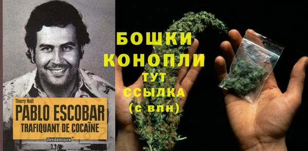 spice Гусиноозёрск