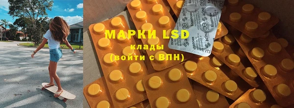 дурь Гусев