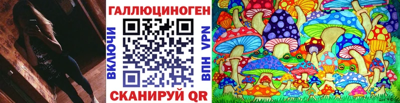 Галлюциногенные грибы Psilocybine cubensis Мурино